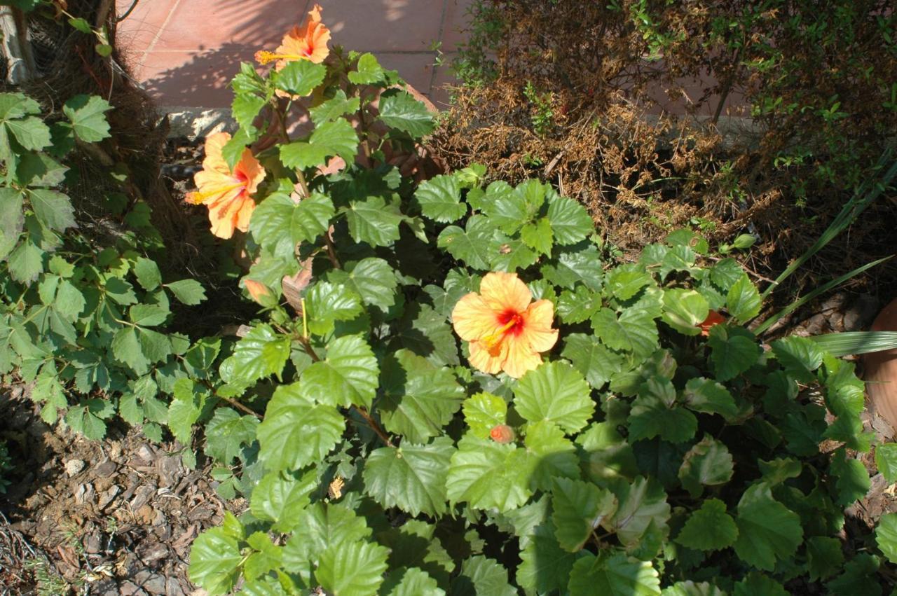 Villa Sol Empuriabrava Luaran gambar